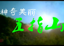 ����������ָɽ